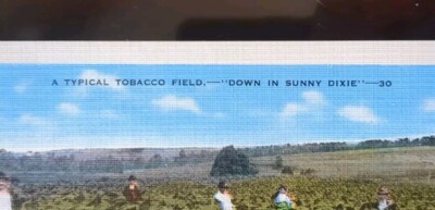 price of tobacco nz History of tobacco control in Aotearoa