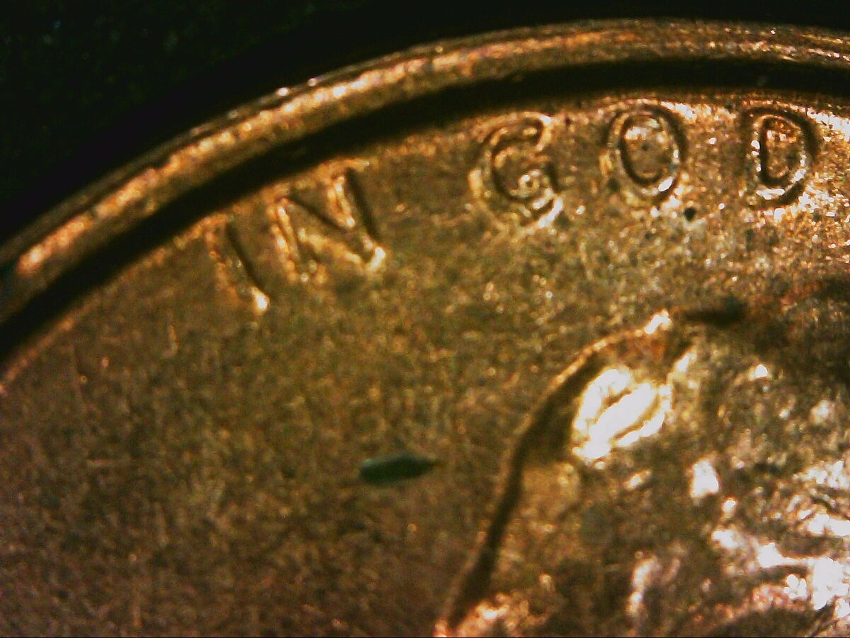 1973 S LINCOLN PROOF CENT 1973S-1DO-001P DDO | eBay 1973 S LINCOLN PROOF CENT 1973S-1DO-001P DDO | eBay