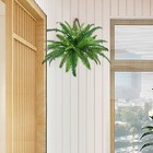 Bild 49 von 57
