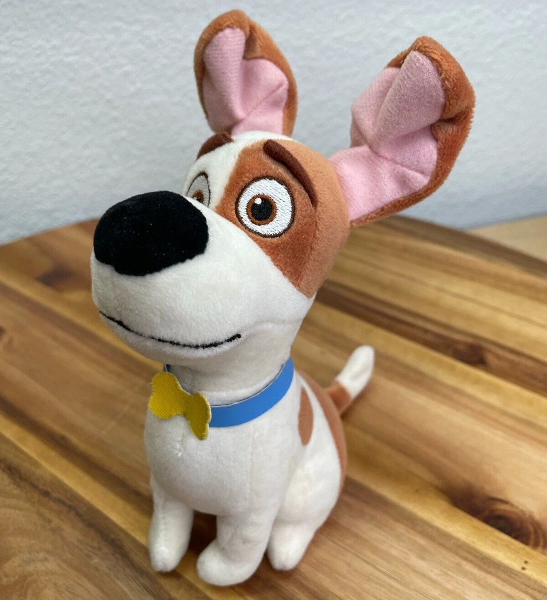 Max the jack russell cheap terrier