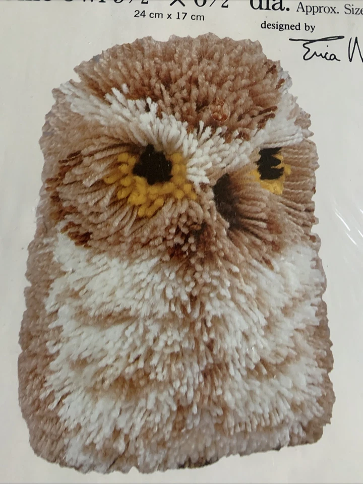 Ollie Owl Vintage Latch Hook Kit Erica Wilson Caron 9.5x6.5 diameter - Image 4 of 4