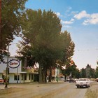 Carter Oil Items, 1950s Gas Station Island — photo 2