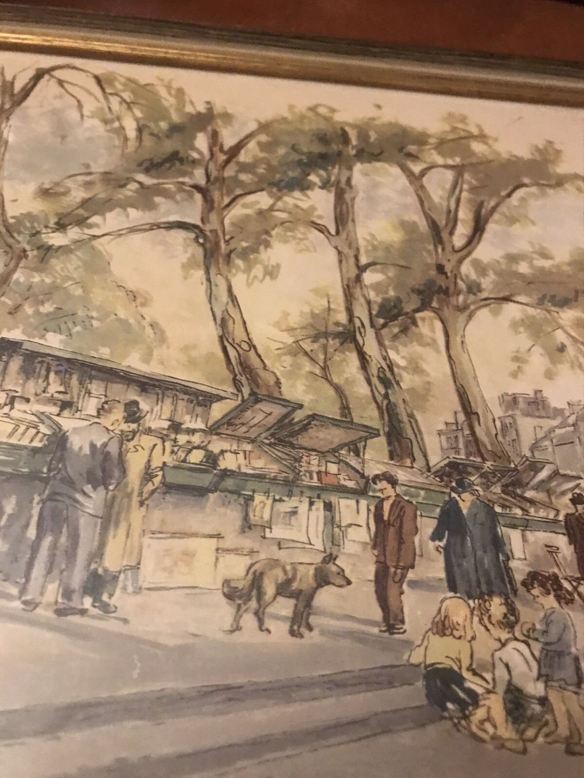 Picture 3 of 12