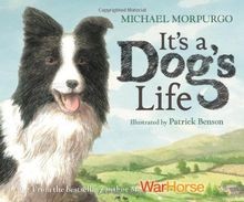 Its a Dogs Life von Morpurgo, Michael | Buch | Zustand gut