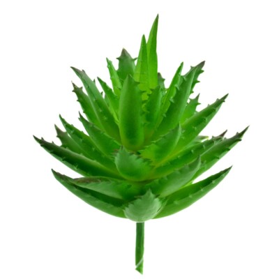 soena naturals aloe vera gel ALOE VERA GEL BIO – Soena Naturals main image 1