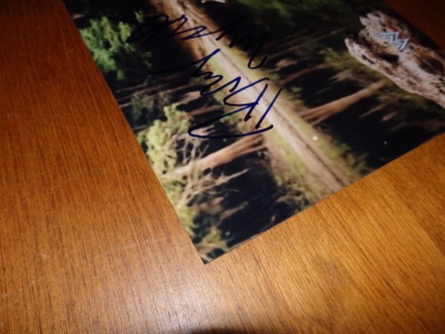 WWE Bray Wyatt Autograph 8x10 Photo The Wyatt Family Fiend *NOT A REPRINT! - Picture 14 of 15