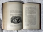 Foto 11 di 12