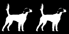 English Setter 2 Pack White Vinyl Decals Car Truck Window Laptop Tablet Tumbler