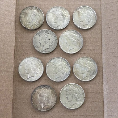Peace Silver Dollar Lot of 10 🇺🇸