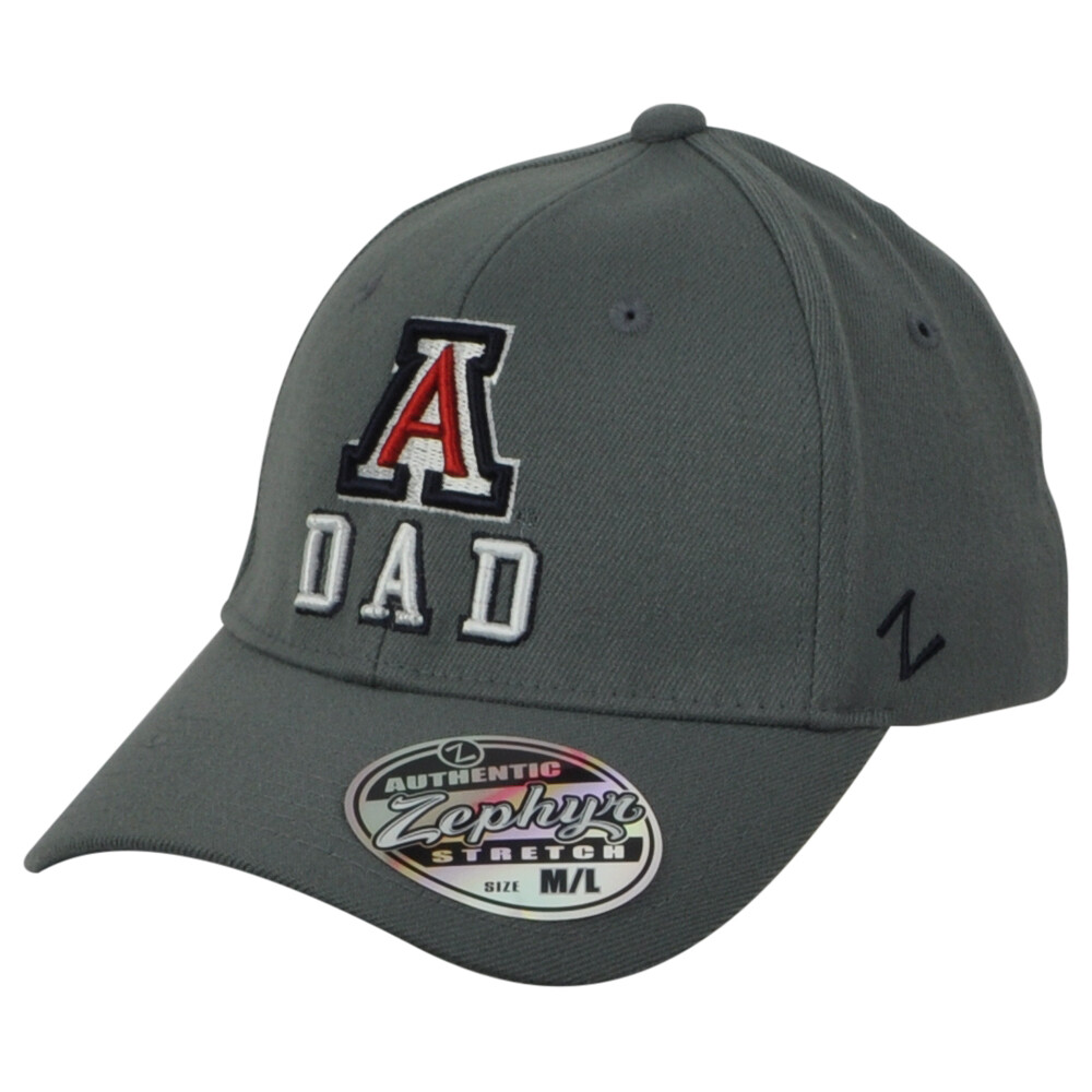 Zephyr Men's NCAA Officially Licensed Stretch Fit Hat - Team Pride Baseball Cap