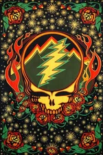 3D Grateful Dead Scarlet Fire Steal Your Face Tapestry SYF Stealie Sunshine Joy