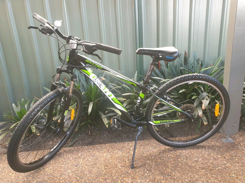 gumtree ladies mountain bike