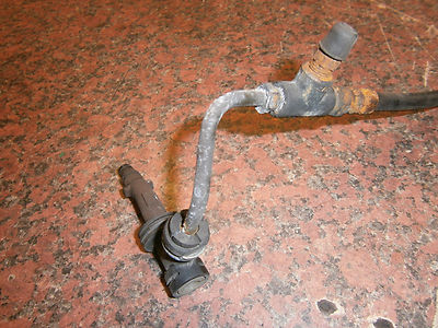 nut ensacark disc golf