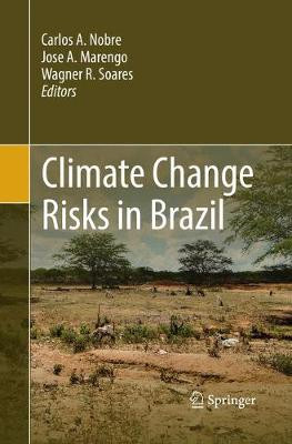 Climate Change Risks in Brazil - 9783030065386