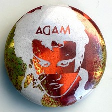 Vintage 1981 ADAM & THE ANTS button prism pin Prince Charming prismatic badge 1"