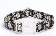 No Pull Martingale Dog Collar, Slip Collar with Stop Ring