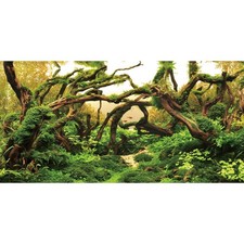 48x24 inches Aquarium Background Branches Aquarium Background Aquatic Plant R...