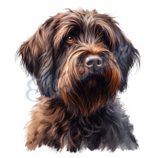 Wirehaired Pointing Griffon 8.5 x 11   Dog Portrait Glossy Photo Print   