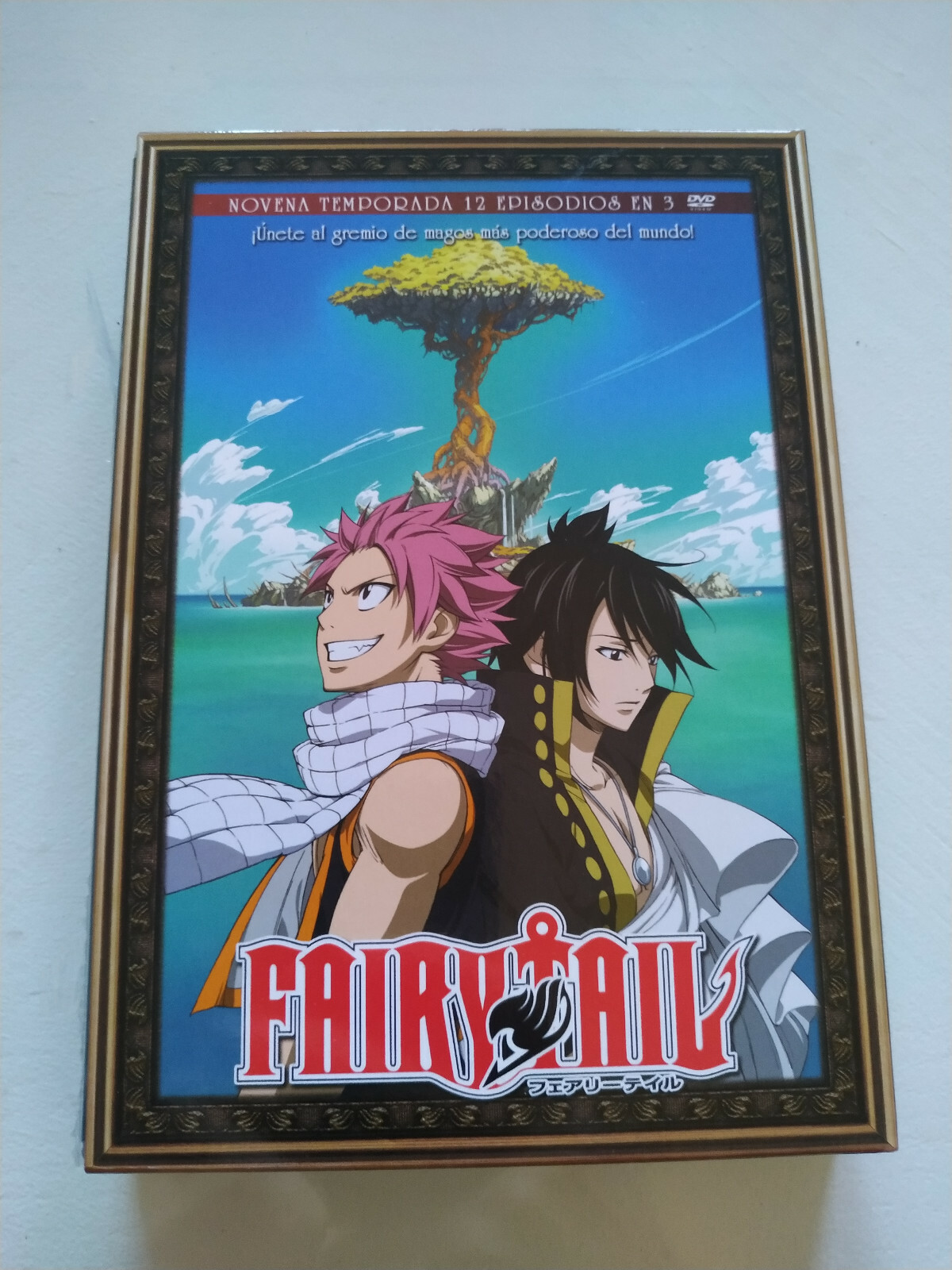 Fairy Tail Season 9 Complete Episodes 97-108 - DVD Spanish Japanese 3T