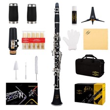 Glory GLY-PBK Professional Ebonite Bb Clarinet Kit
