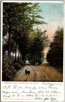 Bergen op Zoom Postcard Dubbele dreef Forest Road Dog Posted Netherlands Stamped