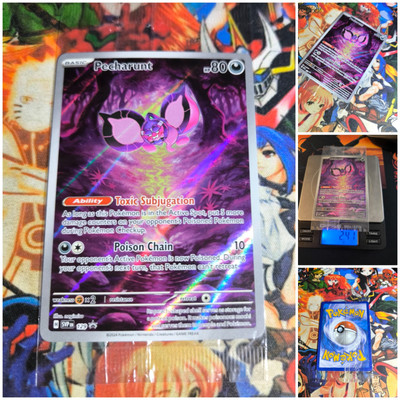 Pokemon Pecharunt   Factory Sealed Mint Black Star Promo Pokémon 2024 Og 