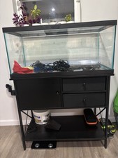 Glass Rectangle Fish Tank with Black Metal Stand