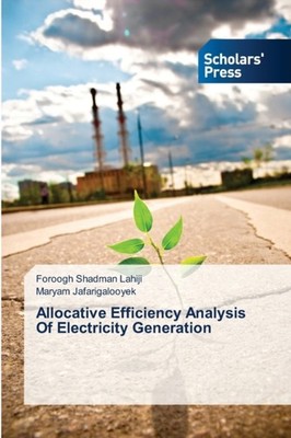 Shadman Lahiji - Allocative Efficiency Analysis Of Electricity Generat - X555z