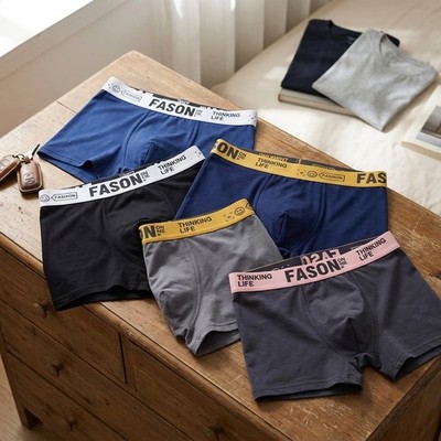 5Pcs Men's Comfortable Summer Boxer Briefs Breathable Underwear S-XXL