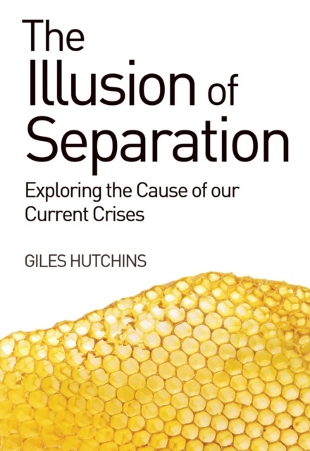 The Illusion of Separation: Exploring the Cause of our Current Crises Hutchins - Image 4