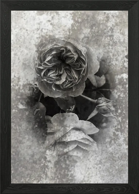 Monochrome Rosen auf strukturiertem Hintergrund gerahmtes Wandbild Poster Leinwanddruck Bild