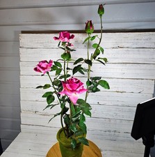 Stunning 27" Artificial Bright Pink Silk Rose Fake Flower Floral Arrangement