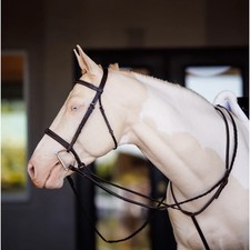 Shires Fancy Square Raised Standing Martingale - Oak Premium English Leather