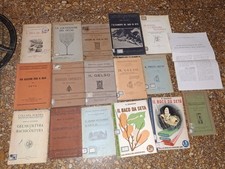 Bachicoltura Baco Da Seta Gelsicoltura Gelso