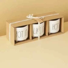 Rae Dunn Plant Pots POT IT LIKE IT’s HOT Footed Herb Garden Planters NWT