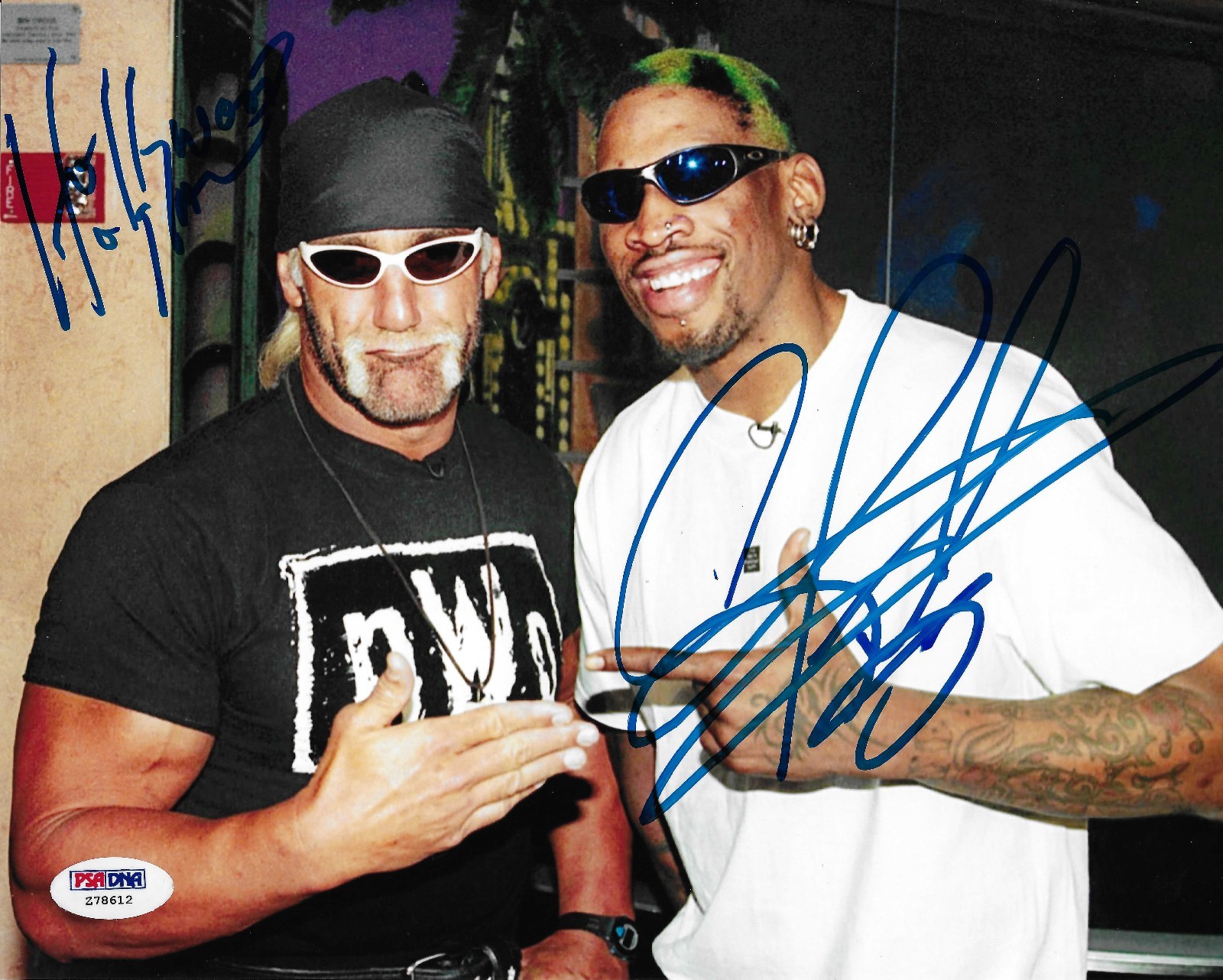 Dennis Rodman Nwo