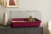Zoopaul HasenkäFig + Gitter Lila 70Cm KäFig Nagetiere Hase Rabbit Kanninchen Neu