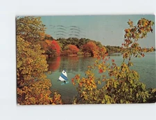 Postcard Foliage Cape Cod Massachusetts