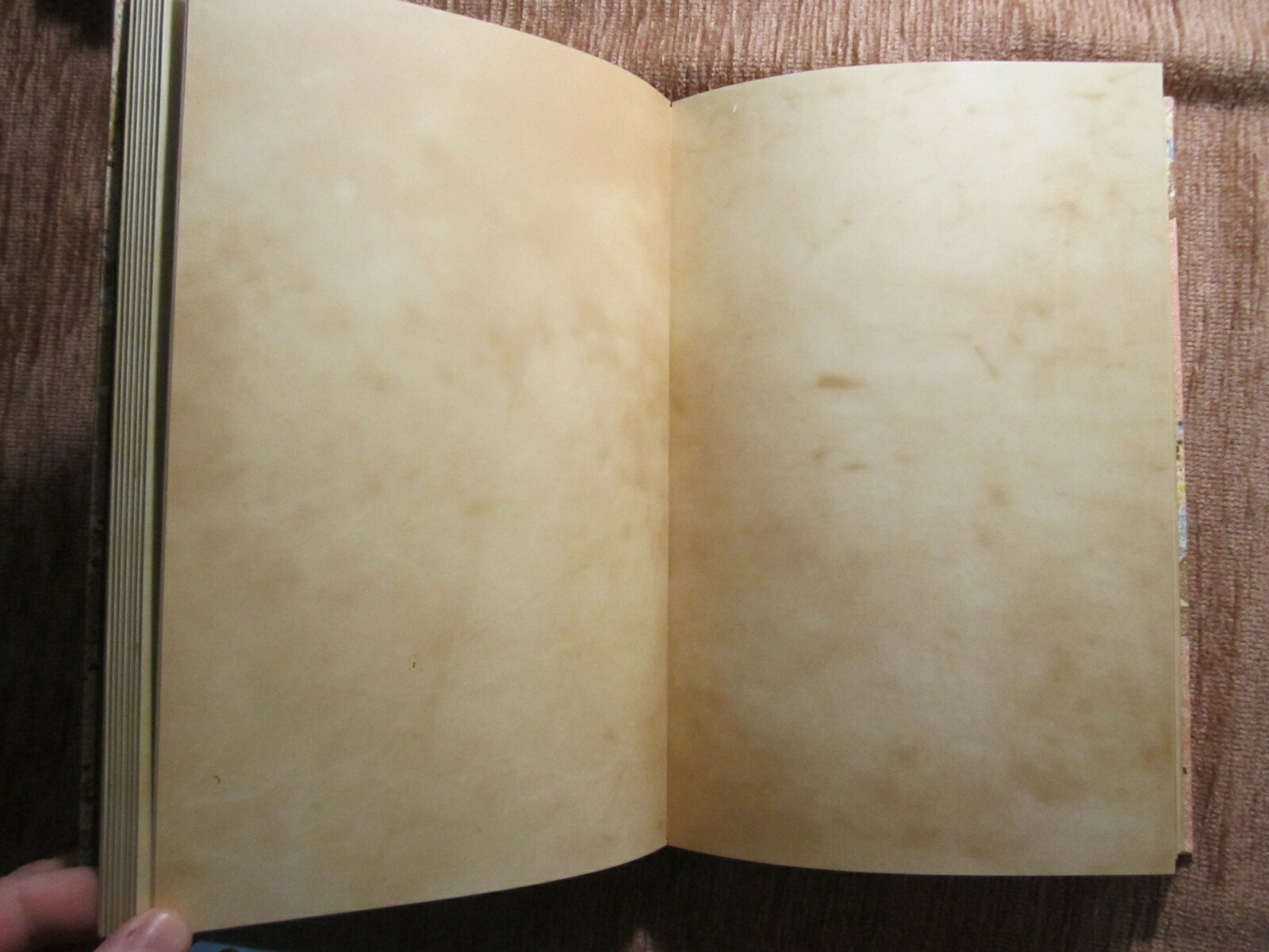 Picture 6 of 9