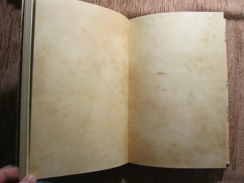 LUXUS GÄSTEBUCH Blankobuch HANDEINBAND Pergament BUCHBINDER Handarbeit UNIKAT - Picture 6 of 9