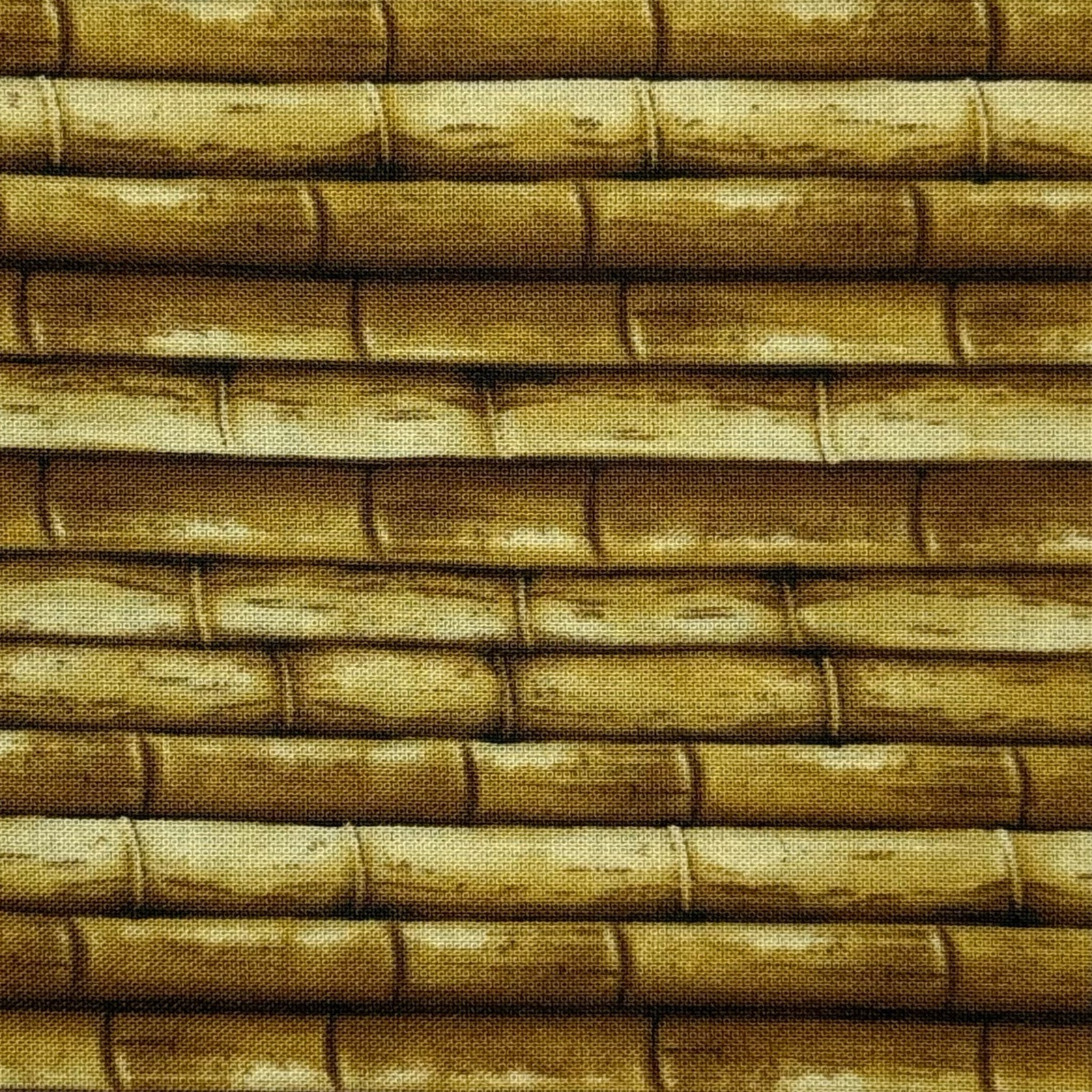 Bamboo Cotton Fabric Print by Giordano Studios - Half Yard