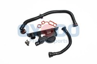 Oyodo 21F9007K-OYO Ventil, KurbelgehäUseentlüFtung FüR Audi Seat Skoda VW