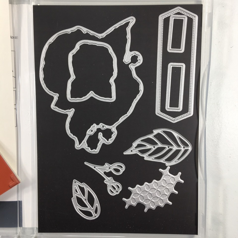 Stampin Up Fragrant Flowers Stamp Set And Fragrant Flowers Dies USED eBay