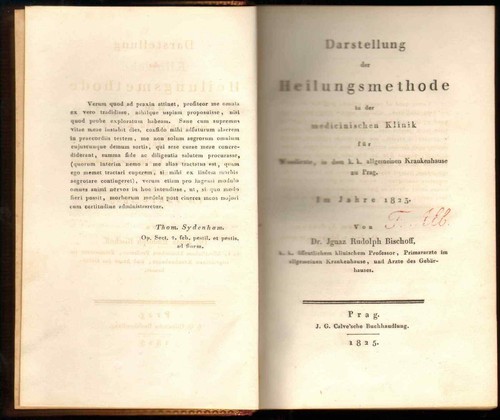 1825 Bischoff Heilungsmethode Heilverfahren German Medicine Surgery Czech - Picture 1 of 12