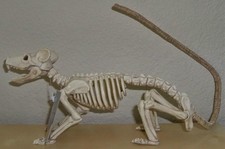 RAT SKELETON SPOOKY BONEZ DEAD ANIMAL PROP DECORATION SE18213