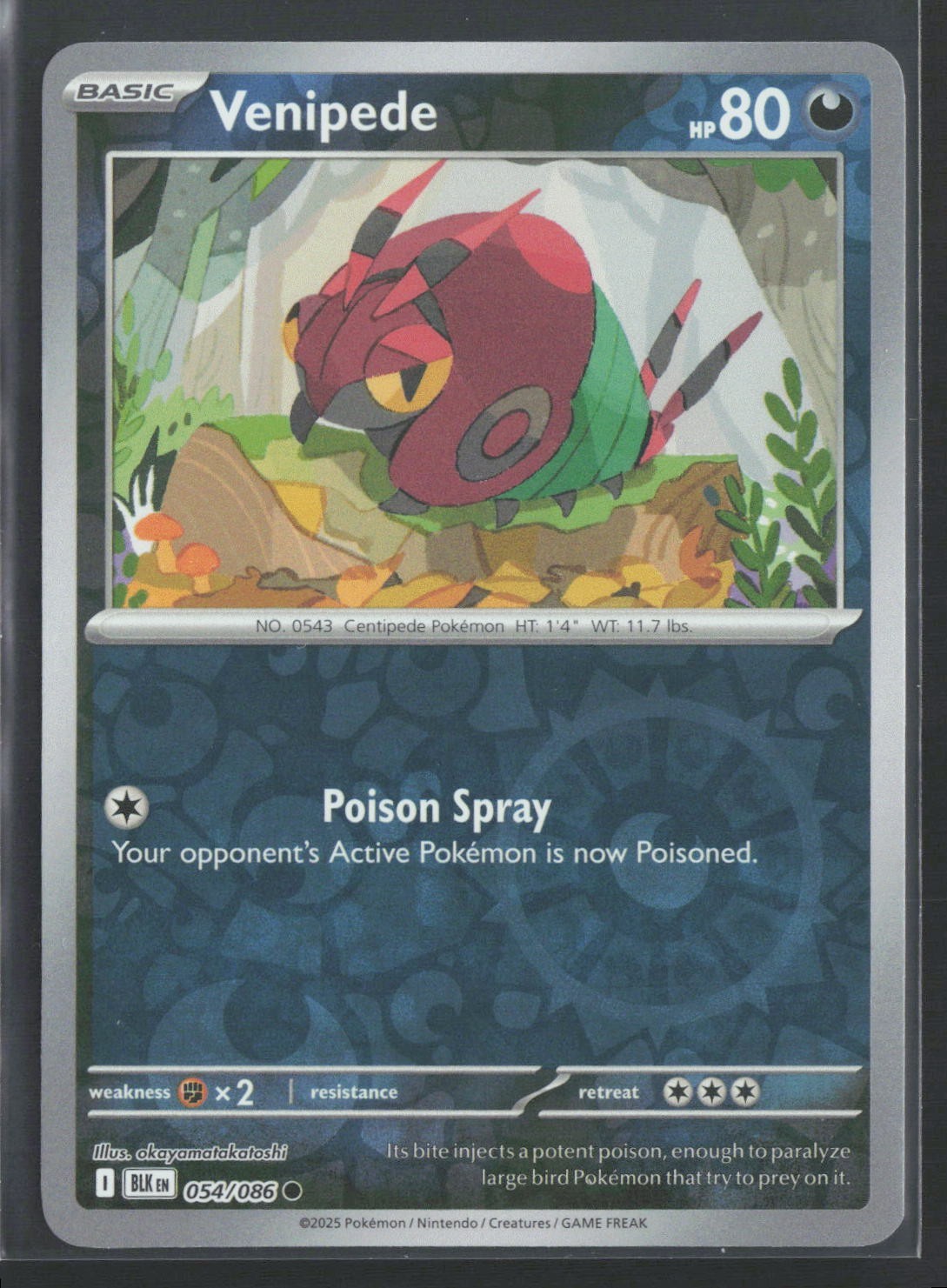 054/086 Venipede - SV Black Bolt - Reverse Holo NM Pokemon