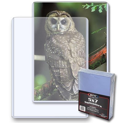 25 BCW 5x7 Rigid Plastic Photo Card Topload Postcard Holders Sleeves Protectors