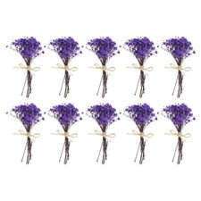 10 St&uuml;ck Mini Getrockneter Blumenstrau&szlig; Atem Boho DIY Geschenk Blau Lila