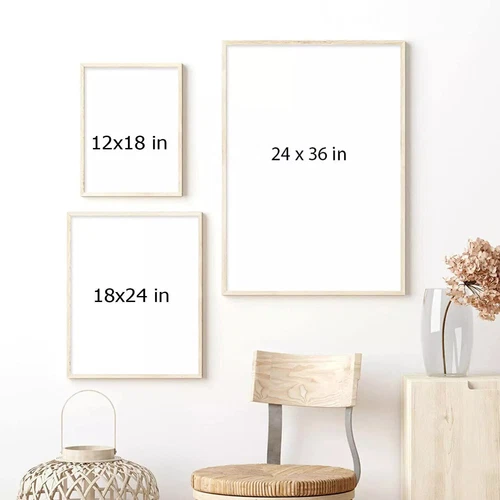 Lynyrd Skynyrd ZZ Top Tour 2024 Poster