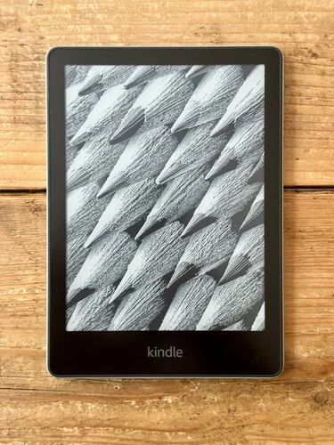 Amazon Kindle Paperwhite 11th Generation 16GB Green 💚 With Ads 📘 Great Cond K4